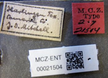 Media type: image;   Entomology 21504 Aspect: labels